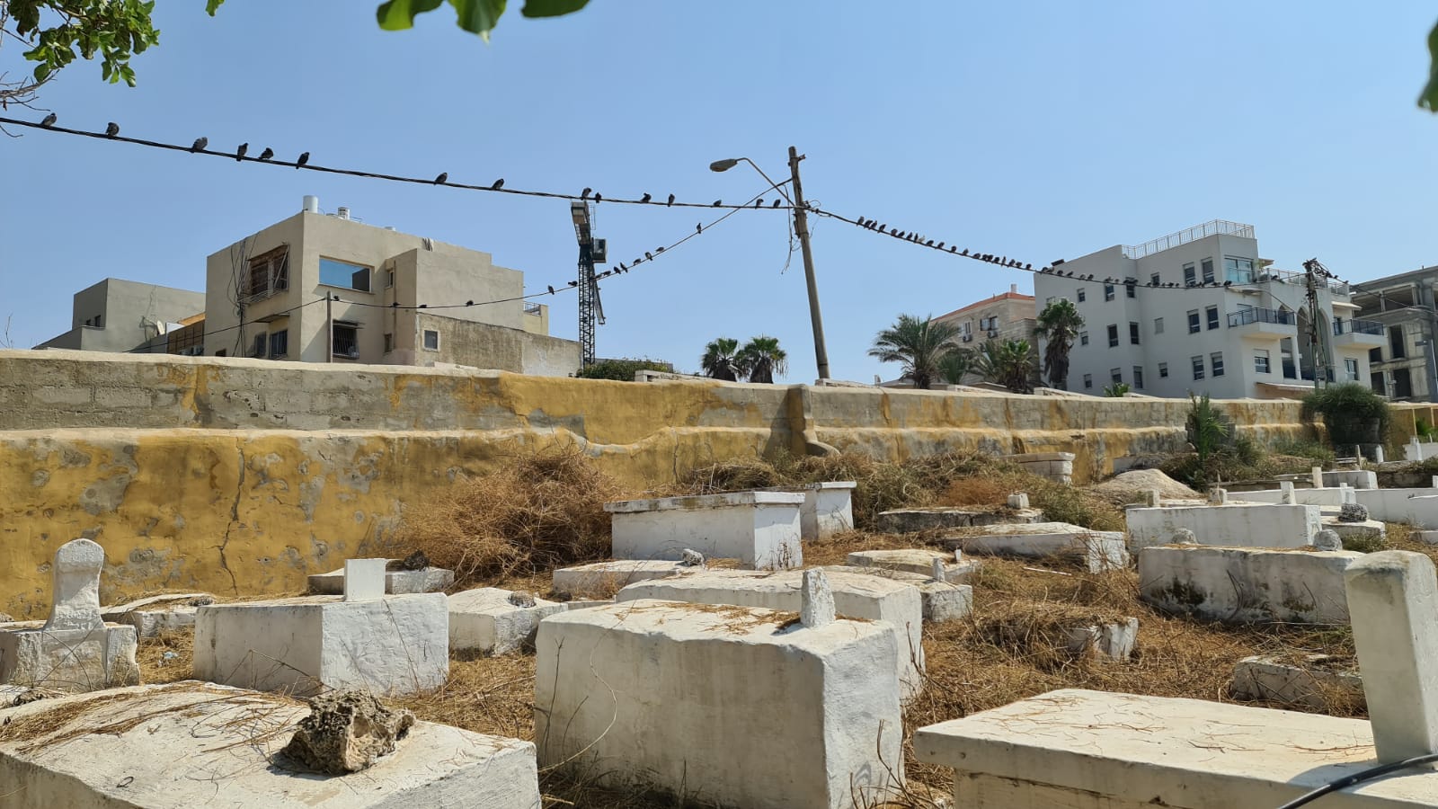 WhatsApp Image 2020-09-19 at 9.49.43 AM (1).jpeg.jpeg